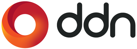 DDN company logo in red and black